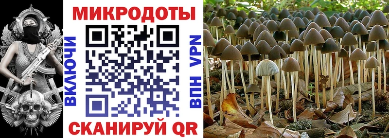 Псилоцибиновые грибы прущие грибы  Купить где  Себеж 